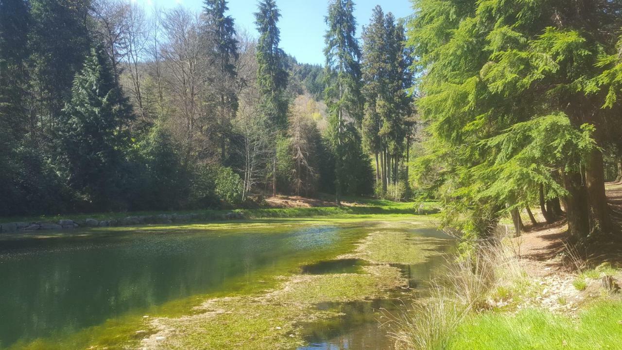 Gitesdecampagne Saint-Étienne-de-Fursac Exterior foto